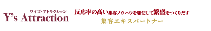 集客エキスパートナーワイズ・アトラクト